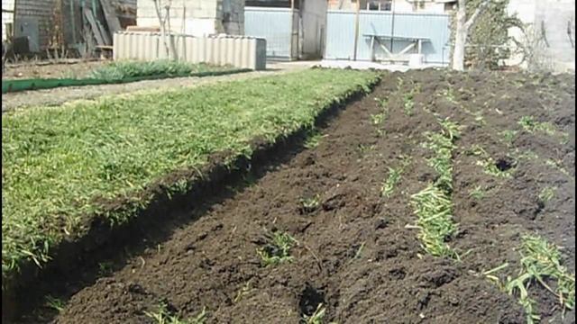 ➤ ВЕСЕННЯЯ ВСПАШКА ЗЕМЛИ МОТОБЛОКОМ. смотреть онлайн