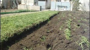 ➤ ВЕСЕННЯЯ ВСПАШКА ЗЕМЛИ МОТОБЛОКОМ.