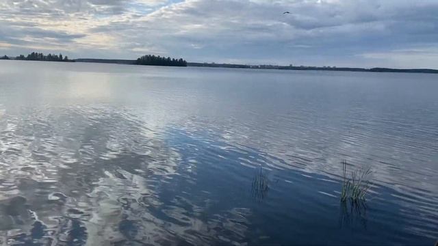 Путешествие по России. Часть 1 смотреть онлайн