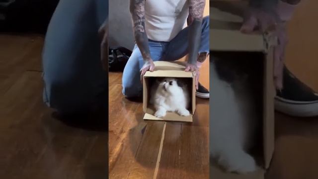 Выходи! смотреть онлайн