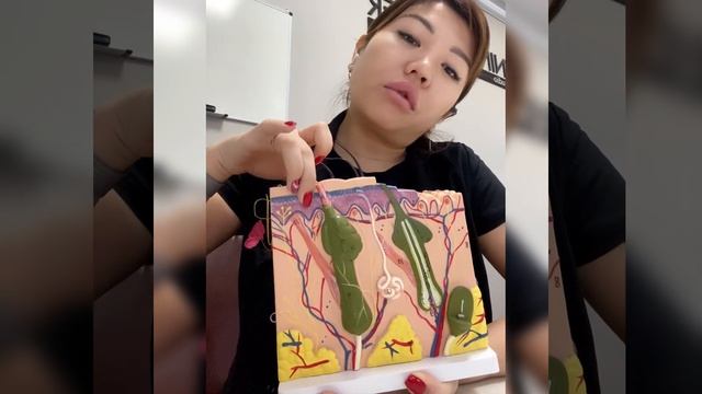 Как работать трёхуровневым аппаратом Гиалурон - пен Hyaluron pen смотреть онлайн