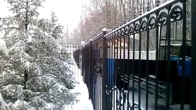 Сруб из бревна сборка на фундамент. смотреть онлайн