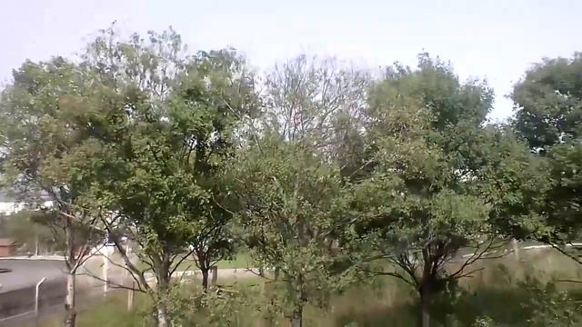Клип- лучшая подруга (первый клип) смотреть онлайн