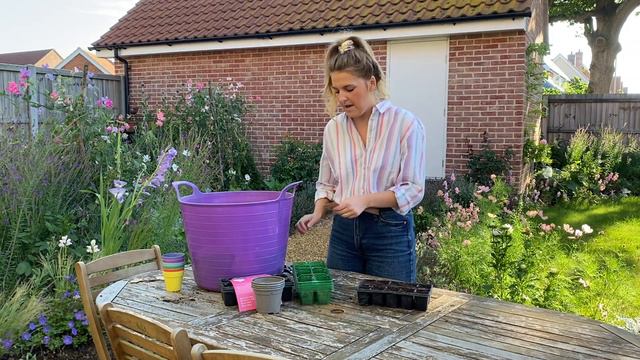 How To Autumn Sow Scabious