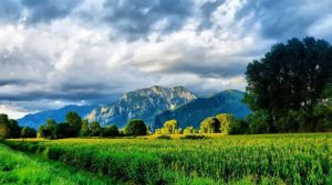 - Я кричу   Хай фай - Ya krichu