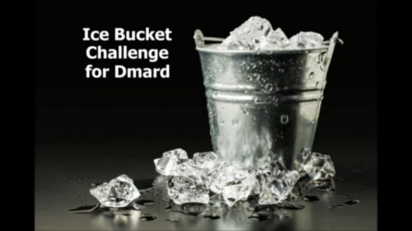 Ice Bucket Challenge