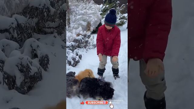 CUTE & FUNNY PUPPIES 🐶 AND DOGGIES |AWESOME WORLD365 #awesomeanimals смотреть онлайн