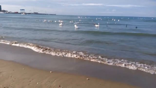 Анапа. У моря 21января 2017 г смотреть онлайн