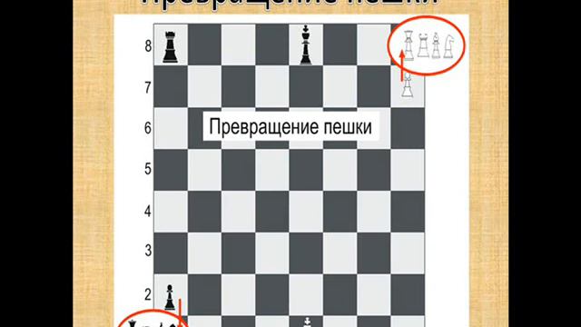 Основы шахматной игры. Урок 2. Пешка смотреть онлайн