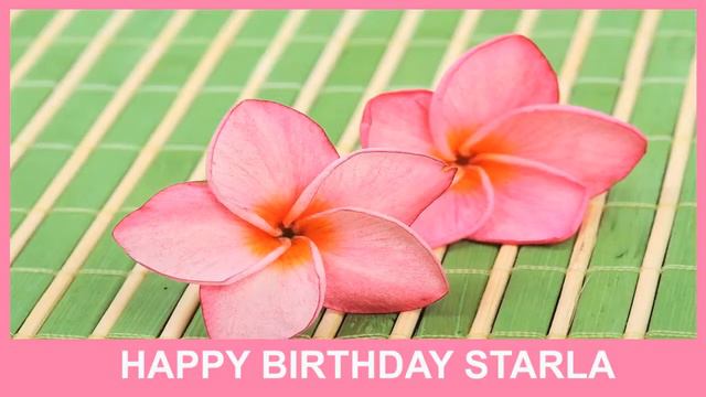 Starla Birthday SPA - Happy Birthday смотреть онлайн
