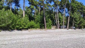 Абхазия Пицунда 25.06.2023 море пляж отель Ирэн