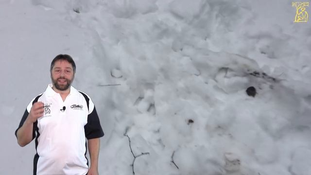 Почему нельзя охотиться с арбалетом смотреть онлайн