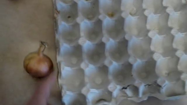 Зелень на подоконнике — огород круглый год! смотреть онлайн