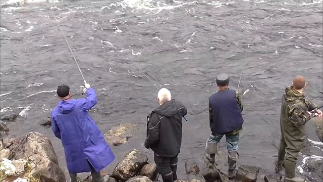 УДАЧНАЯ РЫБАЛКА НА ГОРБУШУ /SUCCESSFUL FISHING FOR SALMON смотреть онлайн