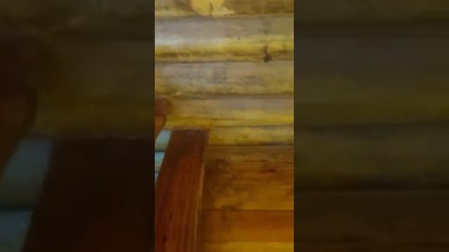 Como armar una escalera de troncos. #Cabañas #casasdemadera #construcción #naturaleza смотреть онлайн