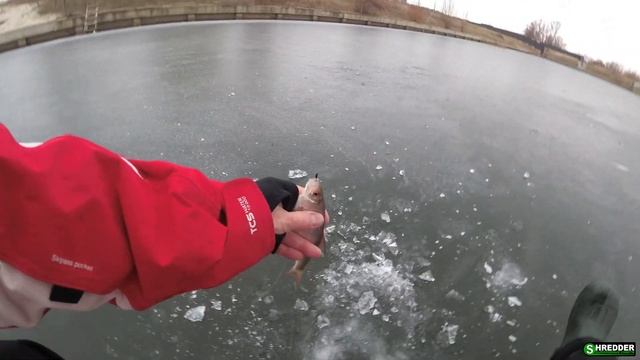 Крупная Плотва на Безмотылку. Подводные Съемки Эндоскопом. Безмотылка 2020-2021. Закрытие 2020 года смотреть онлайн