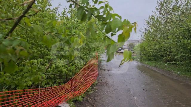 Сидоровка, участок 50 смотреть онлайн