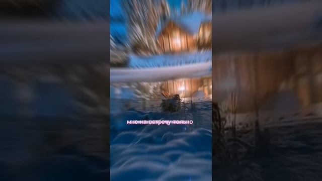 красивые фотки и красивые фотки собак всем спокойной ночи ❤ смотреть онлайн