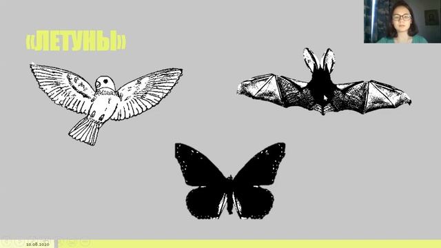 Подготовка к олимпиаде. Лекция 8. Приспособительные формы организмов смотреть онлайн