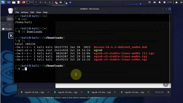 How To Download and Install Ngrok on Kali Linux смотреть онлайн