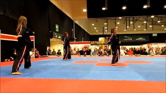 The Edmunds Sistas at the 2013 Martial Arts Expo, Coventry смотреть онлайн