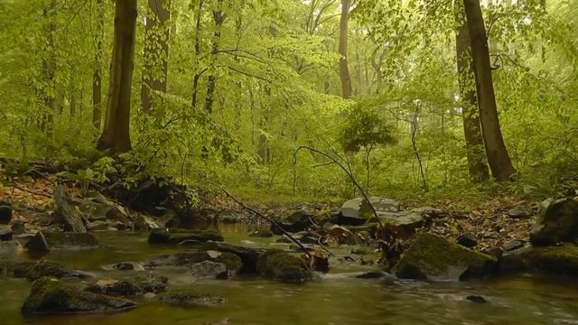 Муж признался жене, что изменил - они представить не мог, как в будущемнакажет его судьба…