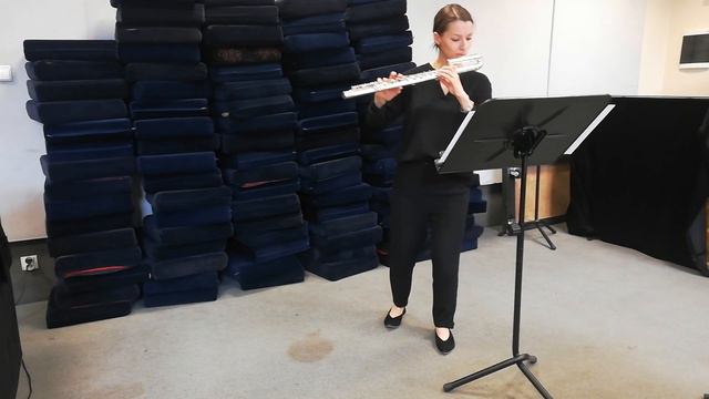 Radosław Mateja - Ciaccona for alto flute (2022)(Premiere performance) смотреть онлайн