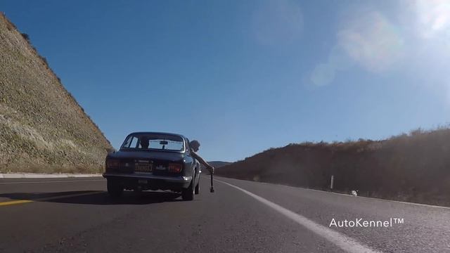 Targa Baja California 2017 смотреть онлайн