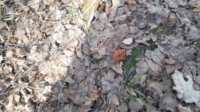 Анонос поход Открытие тур сезона Подмосковье 19.04.23 смотреть онлайн