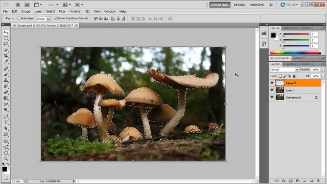 Introduction to Photoshop CS5 Tutorial - Diving in head first with a mini-project смотреть онлайн