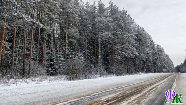Жил - был КОТ 15. «Барс, что нам теперь с тобой делать?» - любопытство сыграло с Котом злую шутку… смотреть онлайн