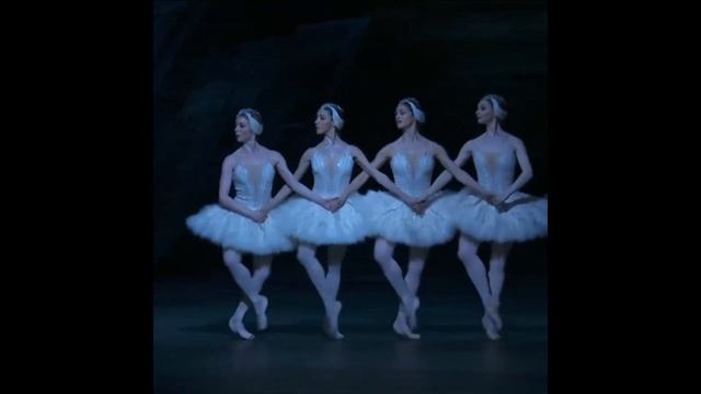Swan Lake 2018   Dance Of The Cygnets