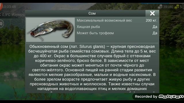 my fishing world как ловить сома на удочку и воблер смотреть онлайн