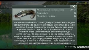 my fishing world как ловить сома на удочку и воблер