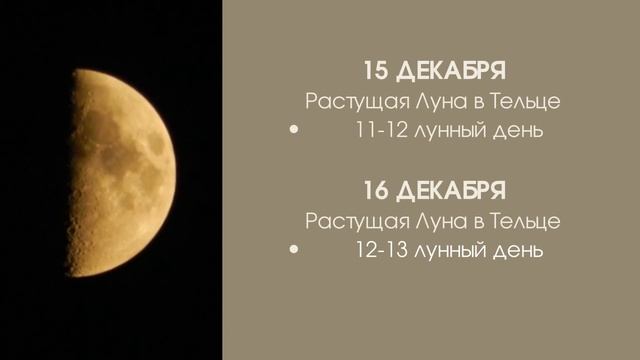 Когда ПОЛНОЛУНИЕ, НОВОЛУНИЕ, ЗАТМЕНИЕ в декабре? Полный ЛУННЫЙ КАЛЕНДАРЬ НА декабрь 2021 смотреть онлайн