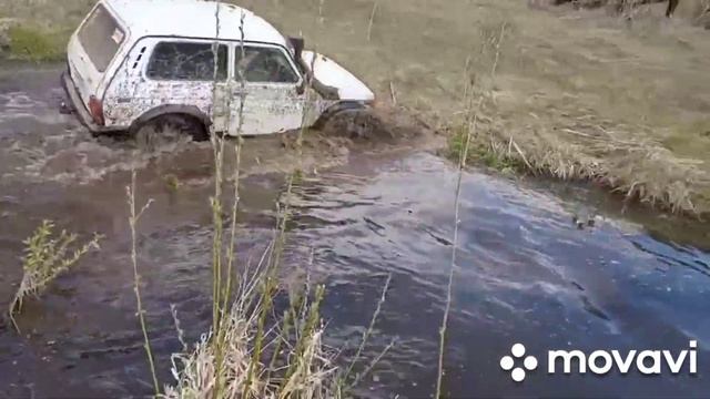 Нива в реке. Nortec 32