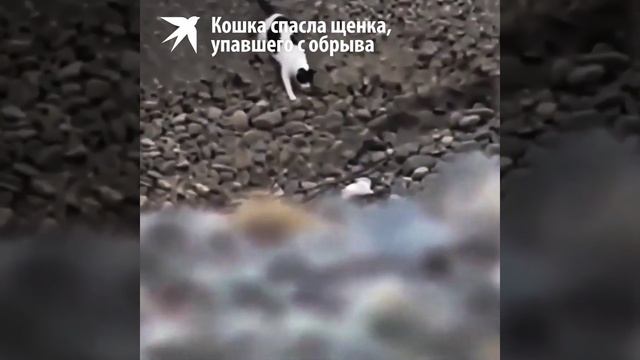 Чужих детей не бывает смотреть онлайн