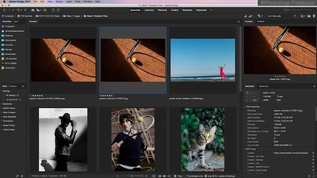 Intro Course-Photoshop 2021: How to Resize Images in Photoshop for Web or Print (Session 1 vid 6) смотреть онлайн