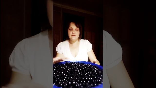 #пасленчерный #солнечнаяягода Ягода санберри. Классические рецепты ? смотреть онлайн