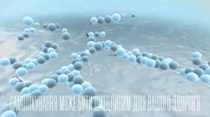 Терафлекс TVC