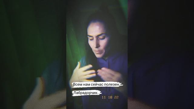 фрагмент сканирования, камень лабрадор... смотреть онлайн