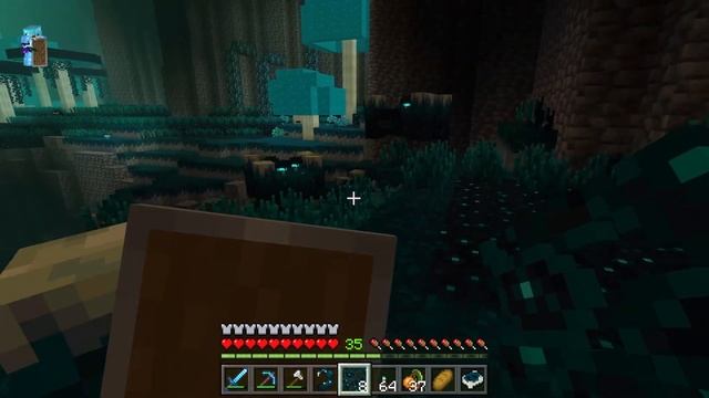 Lp. Warden Dimension - ПРИРУЧИЛ ВАРДЕНА В МАЙНКРАФТ 1.20! смотреть онлайн