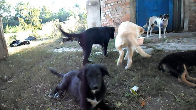 Медвежонок