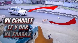 На Герду наезжает таксисит Все ли обошлось?