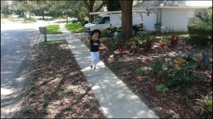 В ГОСТЯХ У НАТАЛЬИ ФАЛЬКОНЕ ? Как живут популярные блогеры в США? Обзор уникального дома и сада! ?