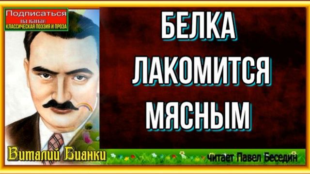 Белка лакомится мясным —Виталий Бианки —читает Павел Беседин смотреть онлайн