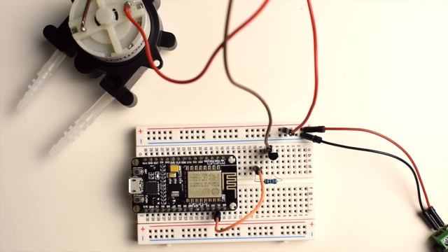 ESP8266 Plant Watering - Part 1/3 - Day 40 of #100DaysOfCode in IoT смотреть онлайн