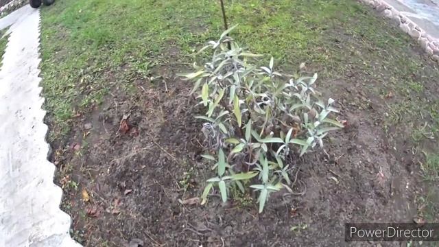 И снова на дачу.Сколько той зимы, а там и весна.Vlog.Брест