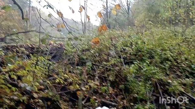 Эхо войны. Разведка местности на немецких позициях первой мировой. смотреть онлайн