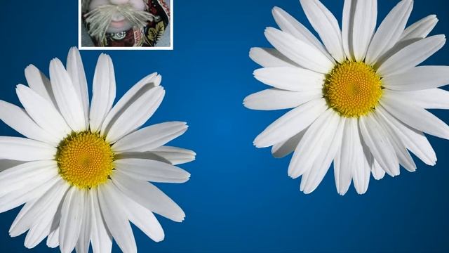 мое хобби смотреть онлайн